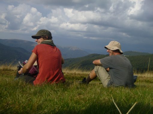 Formation Lutherie sauvage et éveil musical