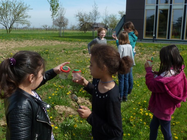 Festival : Des clics et des sons