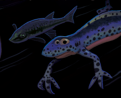 Meilleurs voeux pour 2017