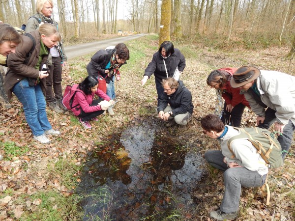 Sur la piste du castor