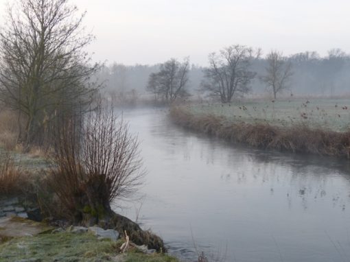 « L&rsquo;énergie, la Nature et l&rsquo;Homme : 3 manières de dire la vie »