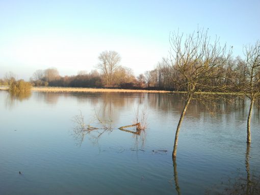 Initiation à la photographie