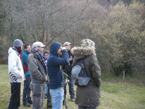 Les plantes dans la cuisine du dehors