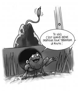 Crapauduc - Système n'ayant pas pu être installé sur le D178 / © Cyril Leroy/Ariena