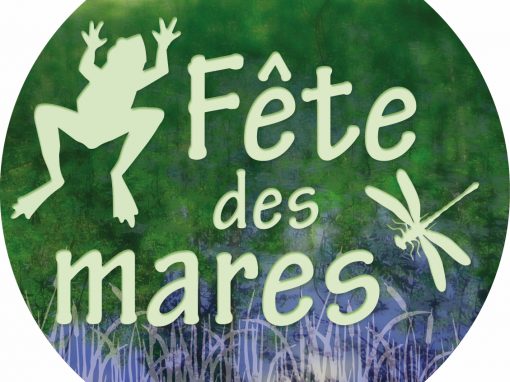 Pour la fête y&rsquo;a la mare !
