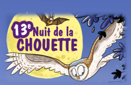 Une chouette nuit !