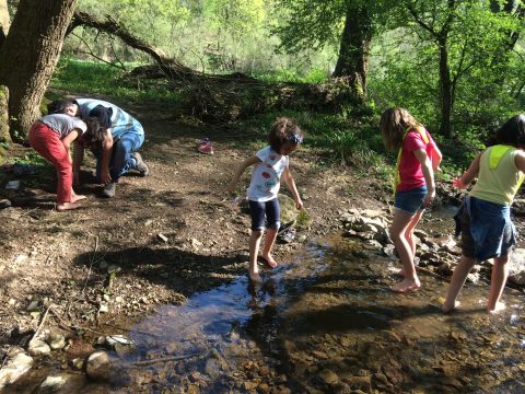 Permettre la décision de l’enfant en accueil collectif de mineurs