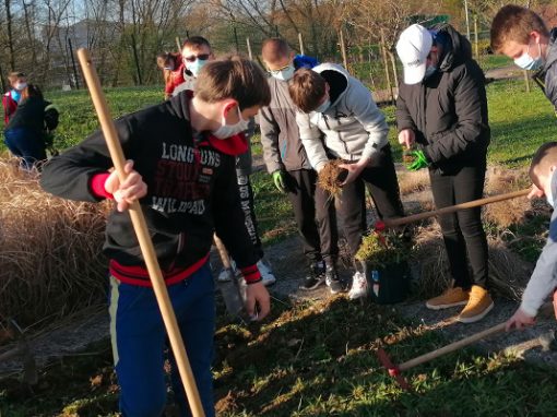 Chantier participatif