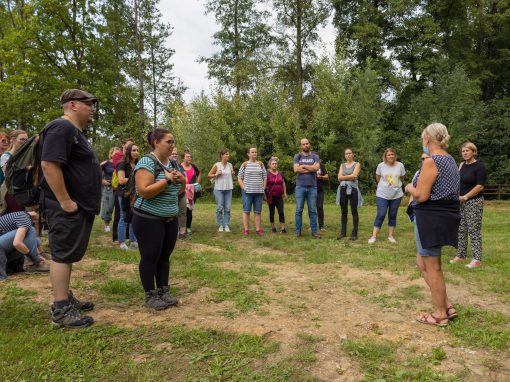 Fête de l&rsquo;arbre