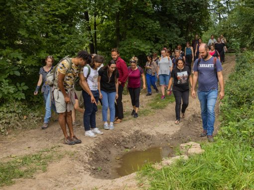 Les bases de la botanique