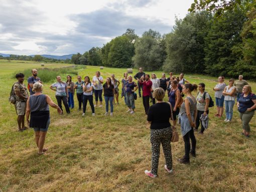 La pédagogie de projet