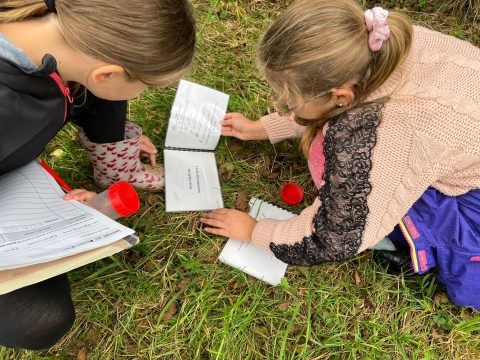 Les mercredis du Club nature Enfants 6 – 11 ans