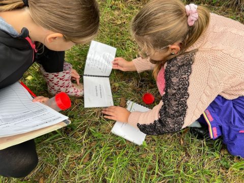 Les mercredis du club nature Enfants 6 – 11 ans