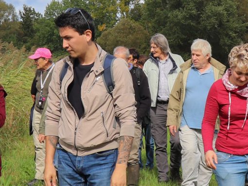 Atelier : Nettoyage de printemps