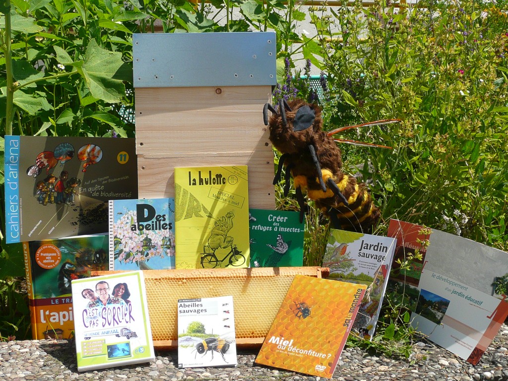 Au pays des abeilles
