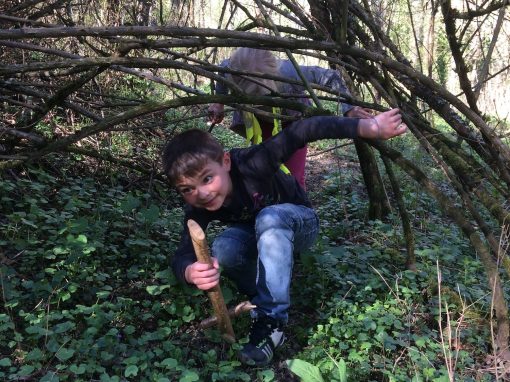 Sortie Nature (Sélestat)