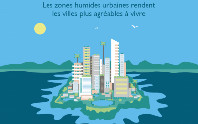 Concilier zones humides et urbanisme : un enjeu d’avenir