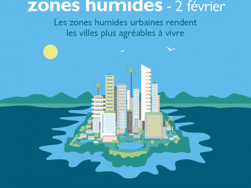 Concilier zones humides et urbanisme : un enjeu d’avenir