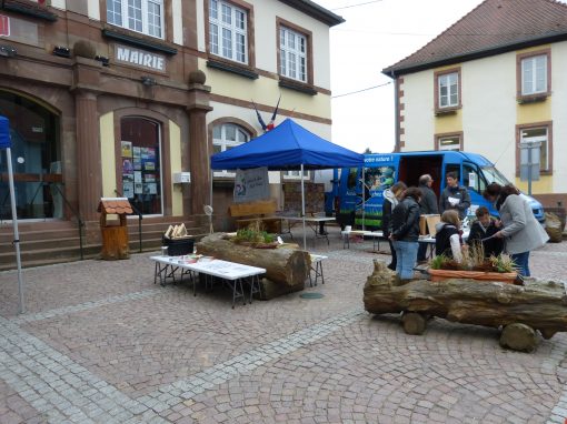 Fête de l&rsquo;automne